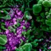 3 ways technology is helping the fight against coronavirus