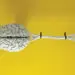5 rising trends in data science that are set to shape 2020
