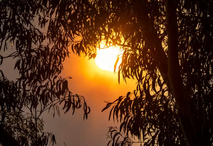 World Engineering Day: Taking action on climate change