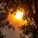 World Engineering Day: Taking action on climate change