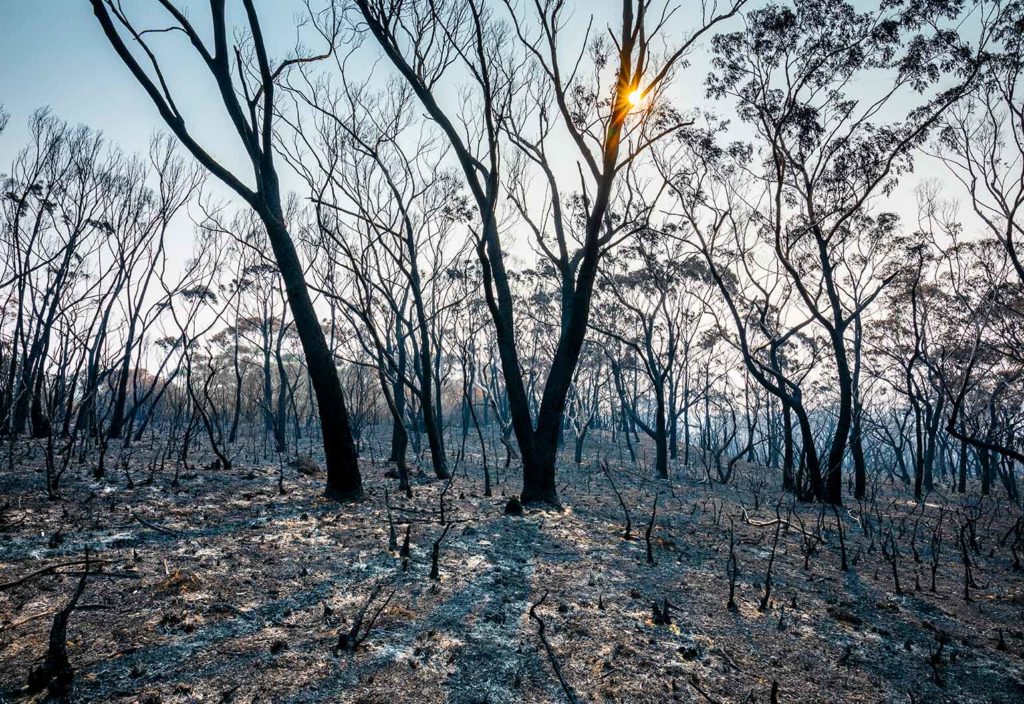 WA will be home to Australia’s first Bushfire Centre of Excellence facility
