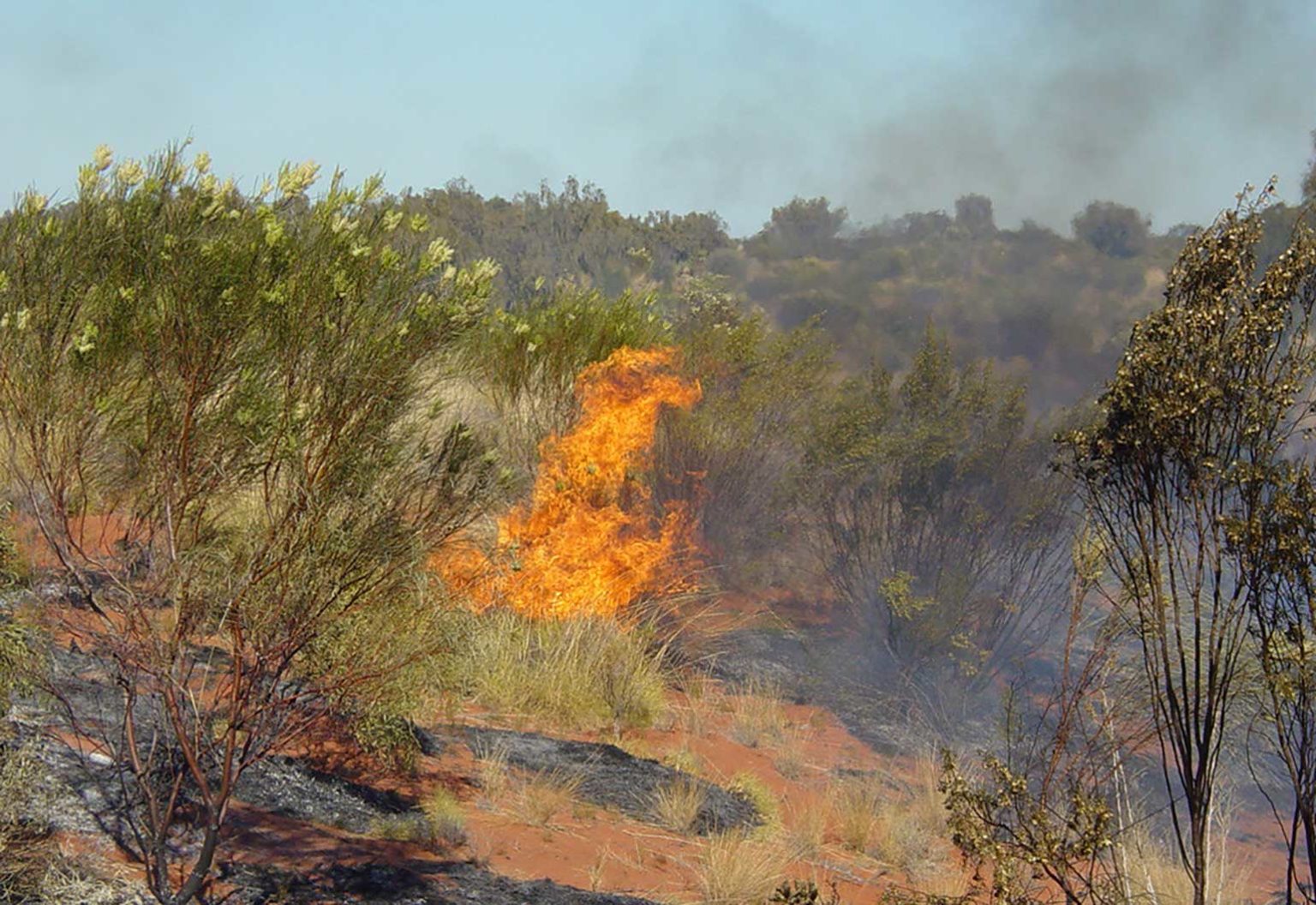 Drawing on thousands of years of knowledge to manage bushfires - create ...