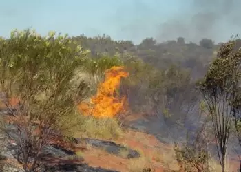 Drawing on thousands of years of knowledge to manage bushfires