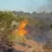 Drawing on thousands of years of knowledge to manage bushfires