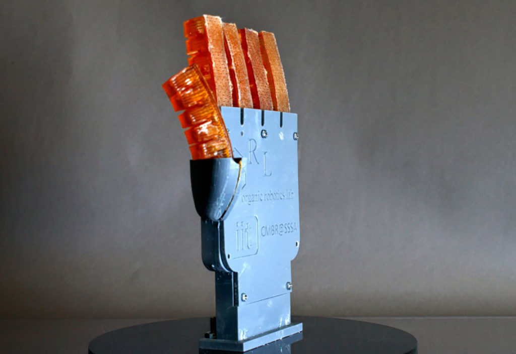 Cornell University researchers have produced a 3D-printed hand with hydraulically controlled fingers that can cool itself by sweating. (Image: Cornell)