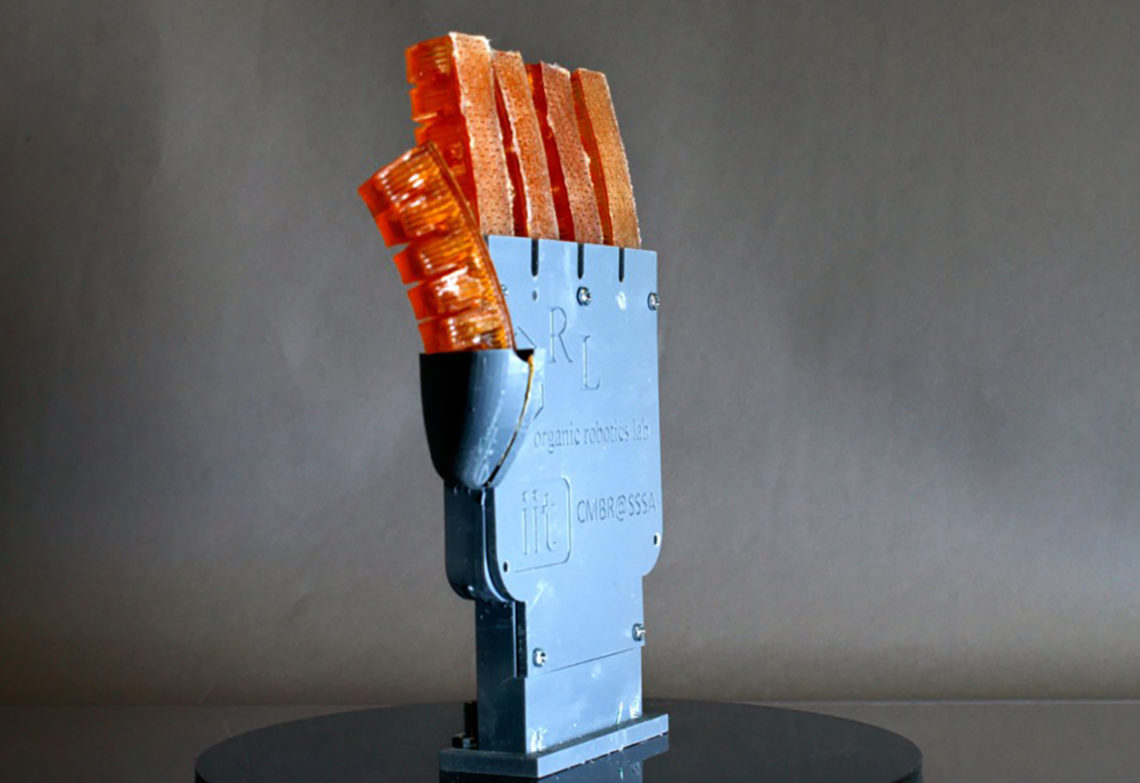 Cornell University researchers have produced a 3D-printed hand with hydraulically controlled fingers that can cool itself by sweating. (Image: Cornell)