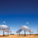 Green energy generated through solar arrays could form the basis of a new export industry.
