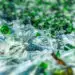Victoria University launches breakthrough project to reuse waste