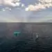 Meet Bob the Bluebottle, an unmanned surface vessel patrolling the seas