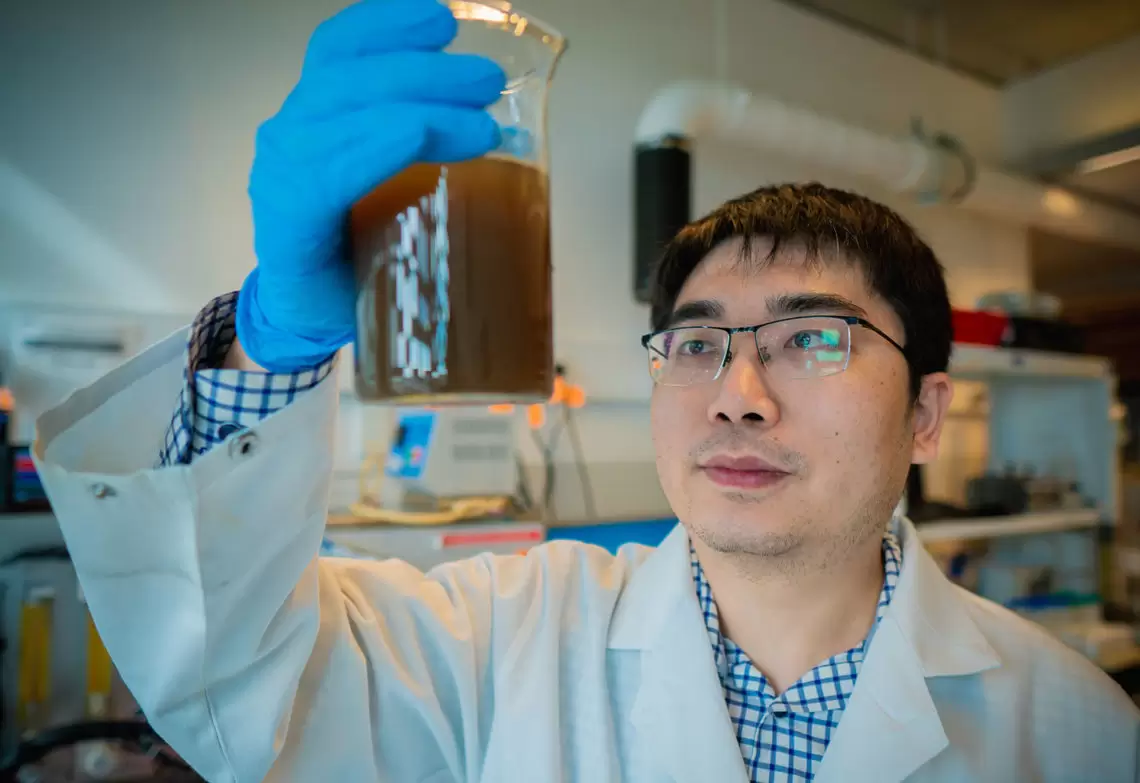University of Technology Sydney Lecturer Qilin Wang.