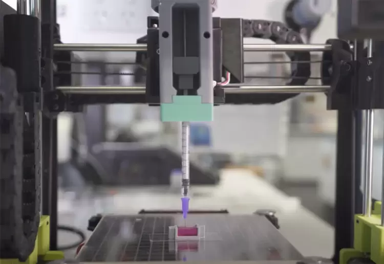 Australian team 3D prints ‘bone’ with living cells