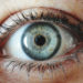 Melbourne team moves towards human trials of bionic eye