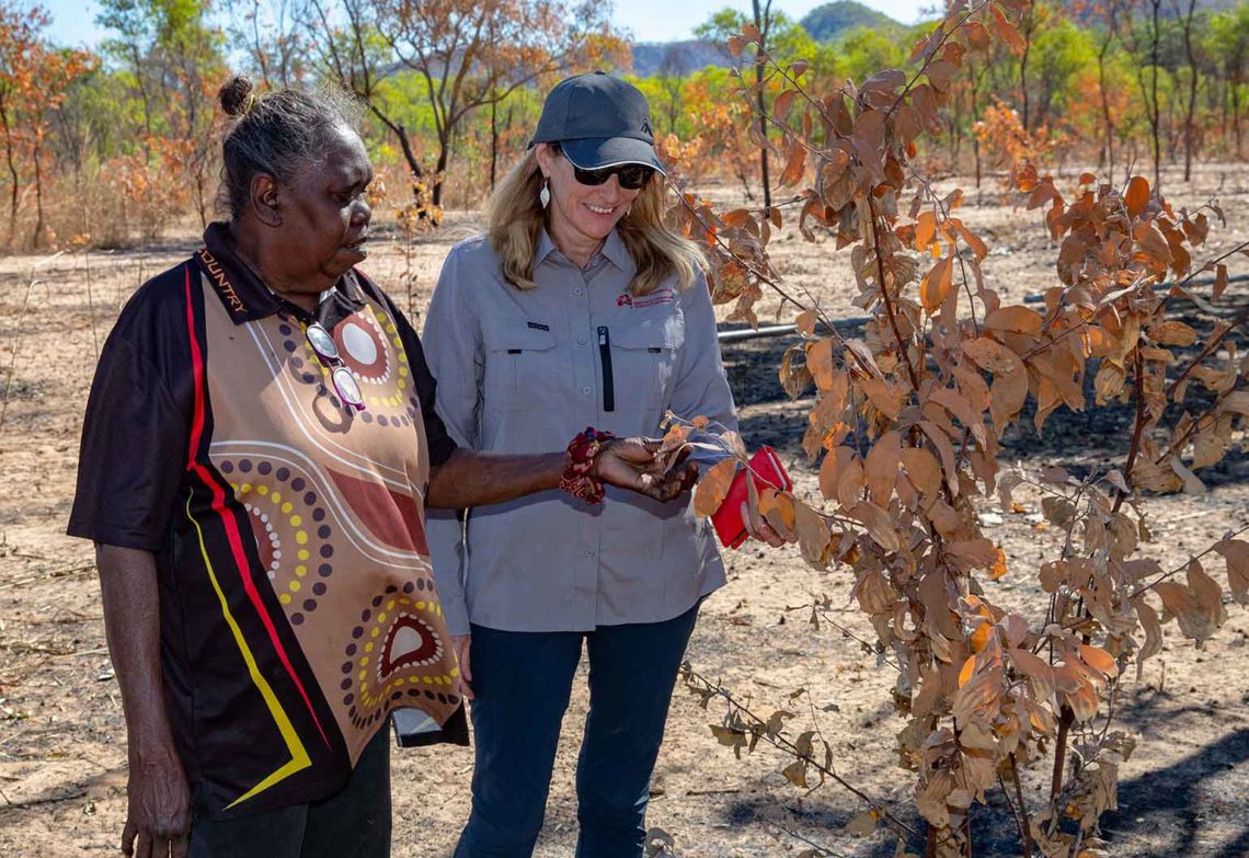 Research hub to tackle nation’s environmental challenges