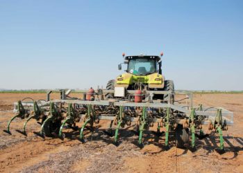 Removing weeds without herbicides could prove a boon for farmers