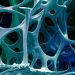 These Australian researchers are ‘tricking’ stem cells into becoming bone