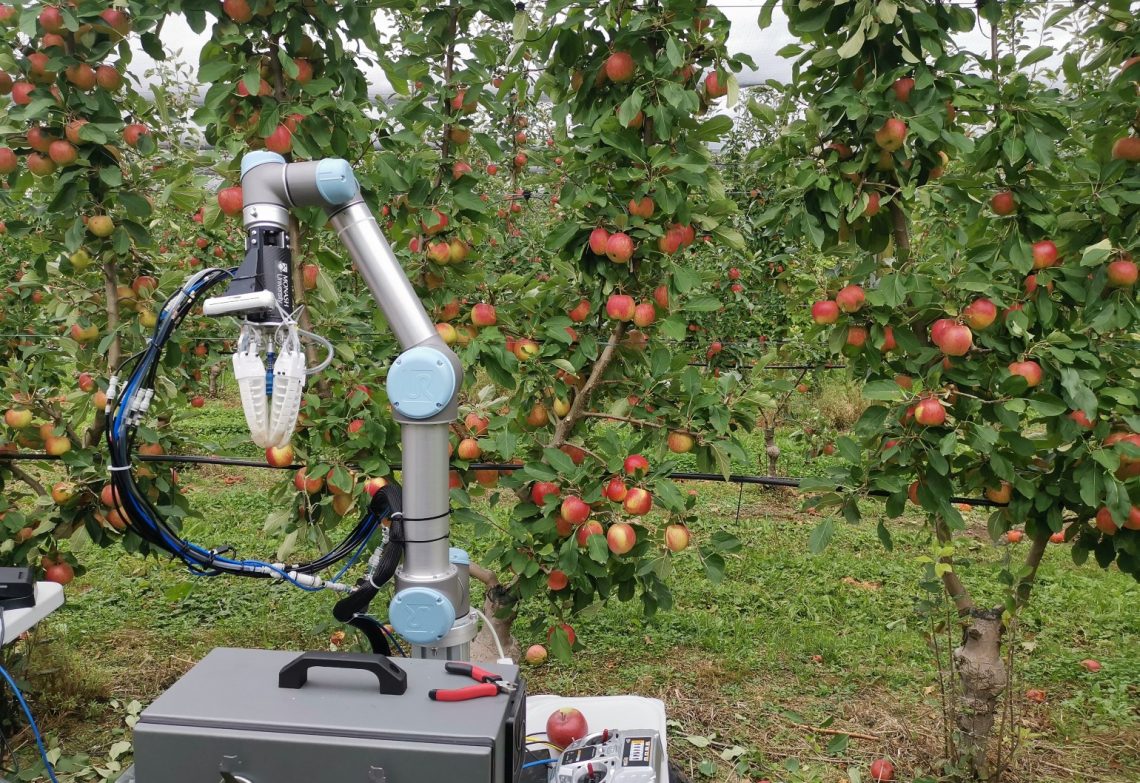 Could this apple picking robot provide a solution to Australia’s labour shortage?