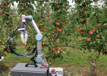 Could this apple picking robot provide a solution to Australia’s labour shortage?