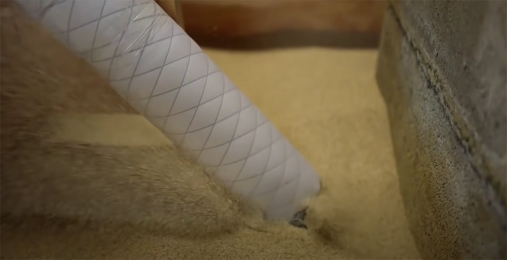 The snake robot burrowing into sand.