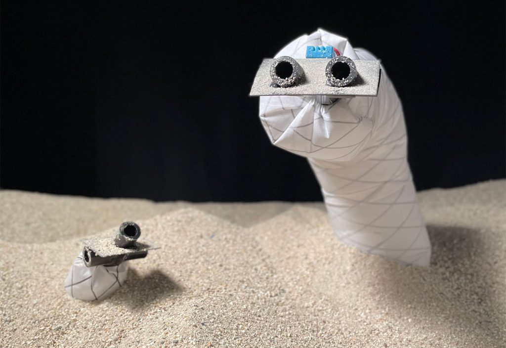 The snake-inspired burrowing robot.