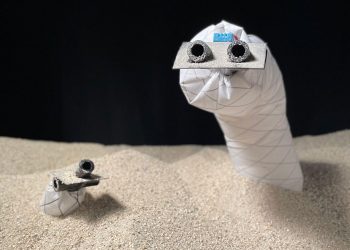 The snake-inspired burrowing robot.