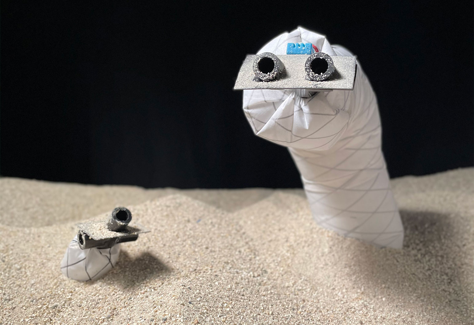 Snakebot named ground rescue robot of the year