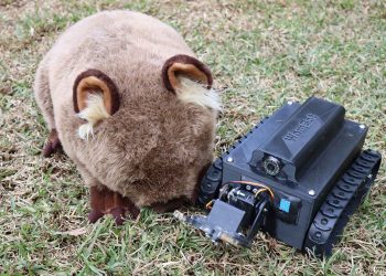 Australian researchers have created a robot that can traverse burrows looking for mites that cause disease in wombats.