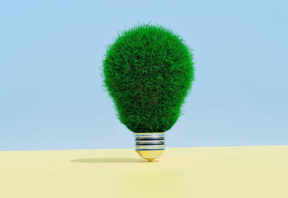 Will luminescent plants light up the future?