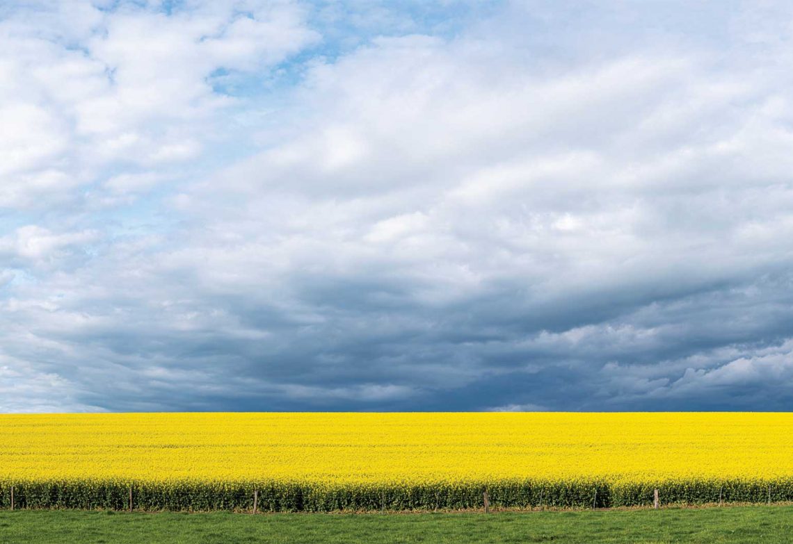 Through innovation and influence, engineers will help shape a sustainable future