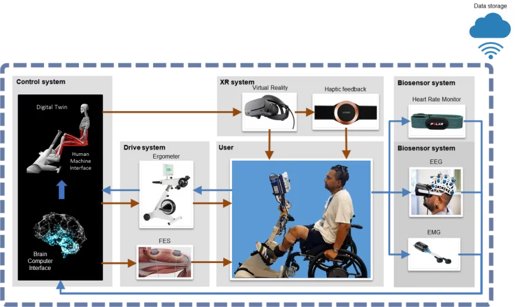 Connecting mind and muscle with the biospine system