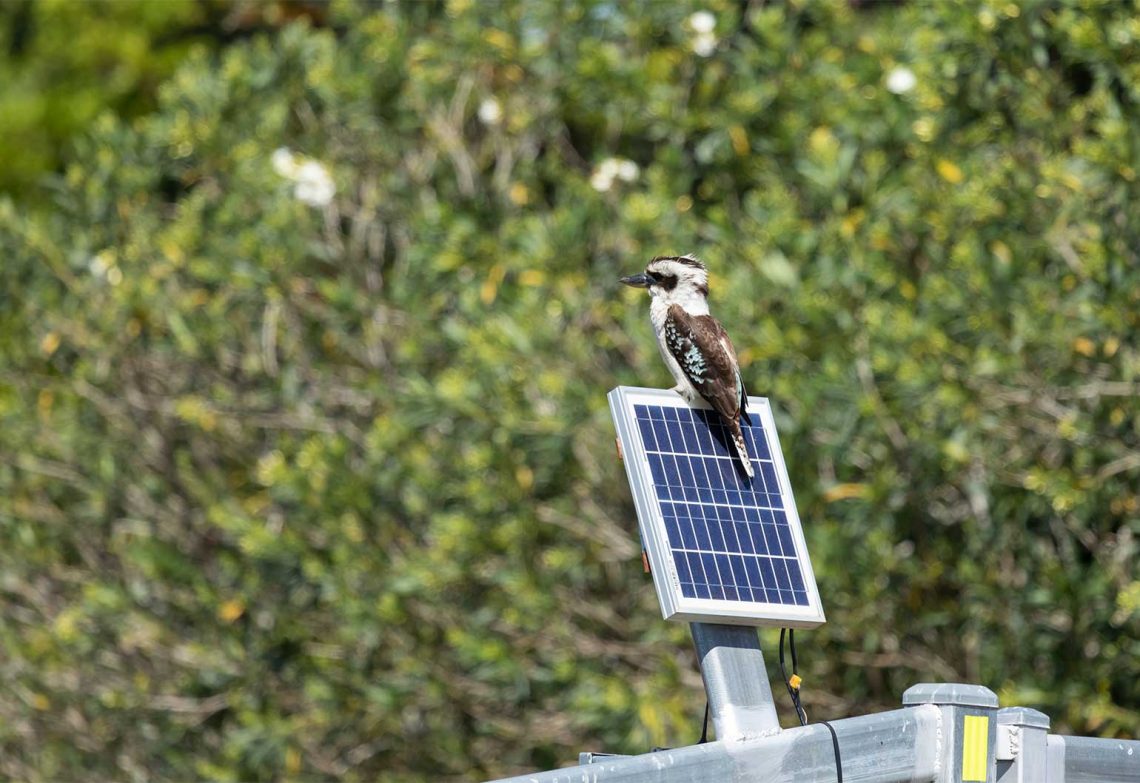 Engineers needed in Australia’s energy transition