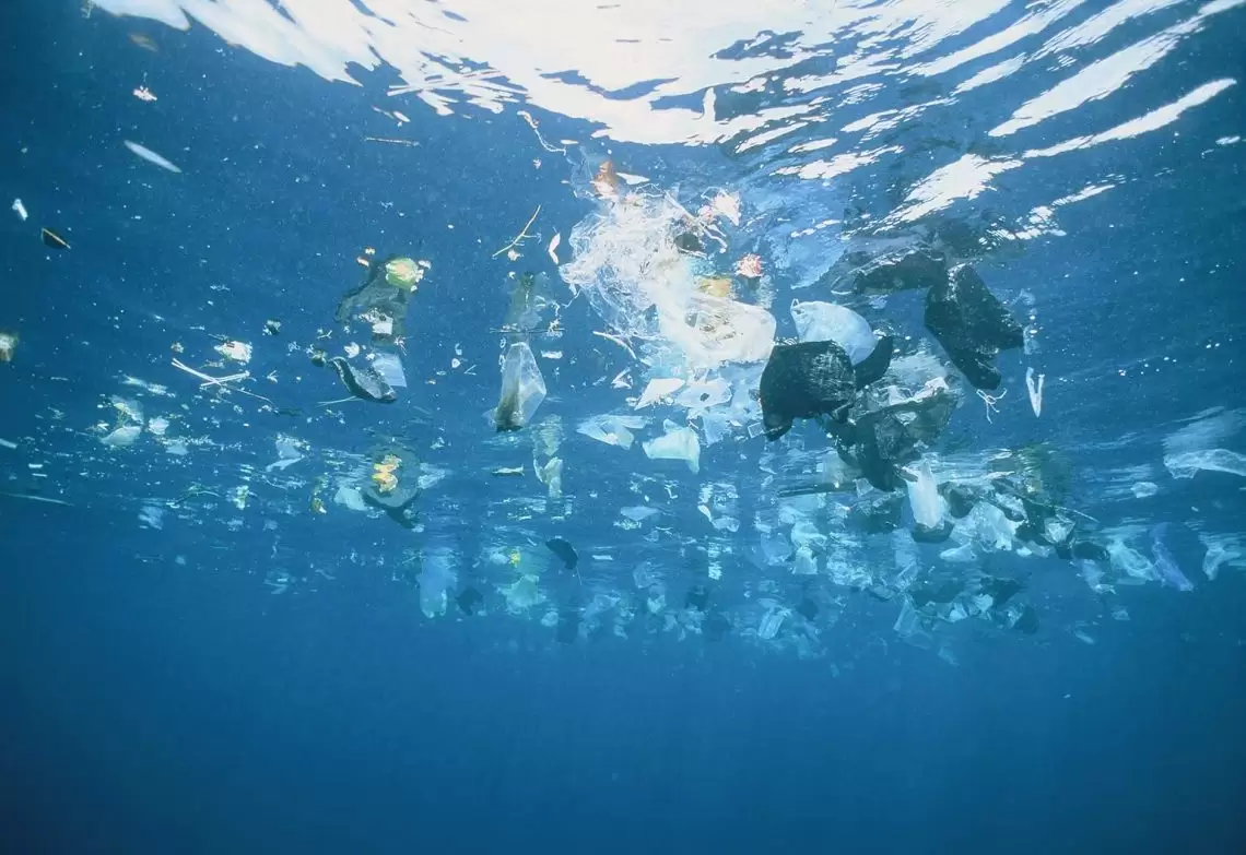 School student engineers solution to plastic pollution