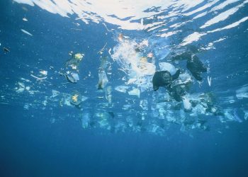 School student engineers solution to plastic pollution