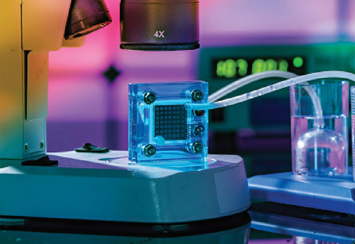 WED22: The future of hydrogen in Australia