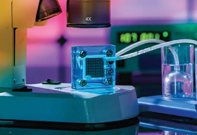 WED22: The future of hydrogen in Australia