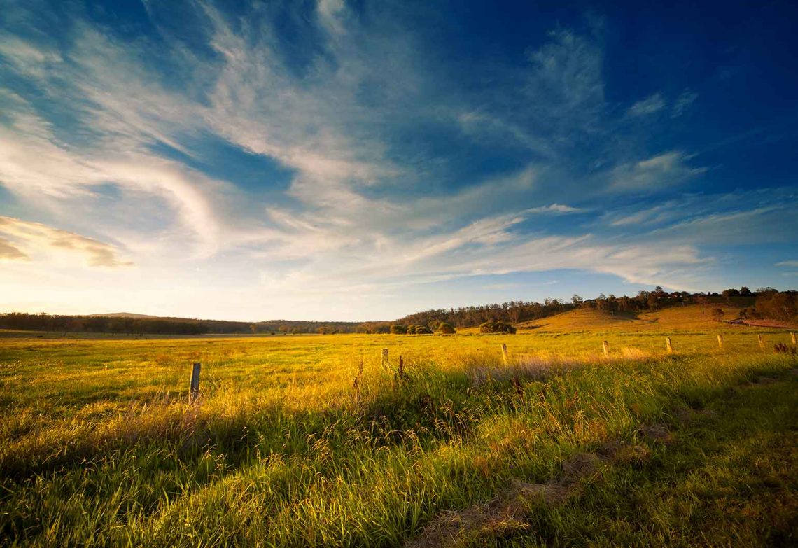 Soils have been recognised as living systems that require certain biologically active conditions before soil carbon can be built.