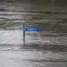 What role do engineers play in flood management?