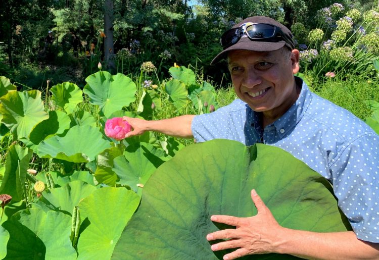 RMIT engineers develop water-repellent bioplastic inspired by the lotus leaf