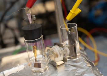 A ruthenium and copper mesh extracts ammonia from nitrate-rich wastewater. Image: Jeff Fitlow