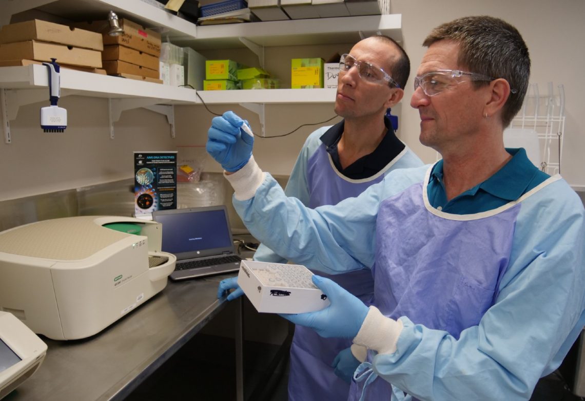 From COVID test to coral reef: using dipstick technology to improve reef monitoring systems in the Great Barrier Reef