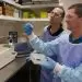 From COVID test to coral reef: using dipstick technology to improve reef monitoring systems in the Great Barrier Reef