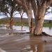 Floodplain engineer is bringing unique expertise to urban planning