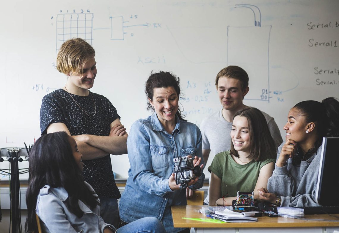 What are the factors that influence students to choose to study engineering?