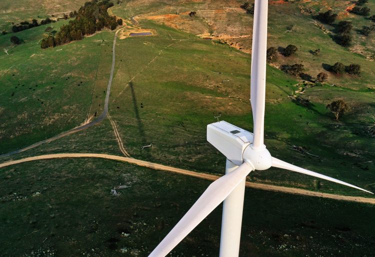 Translating green intentions into reality