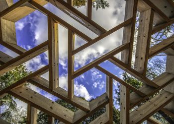 Timber innovations building a more sustainable future