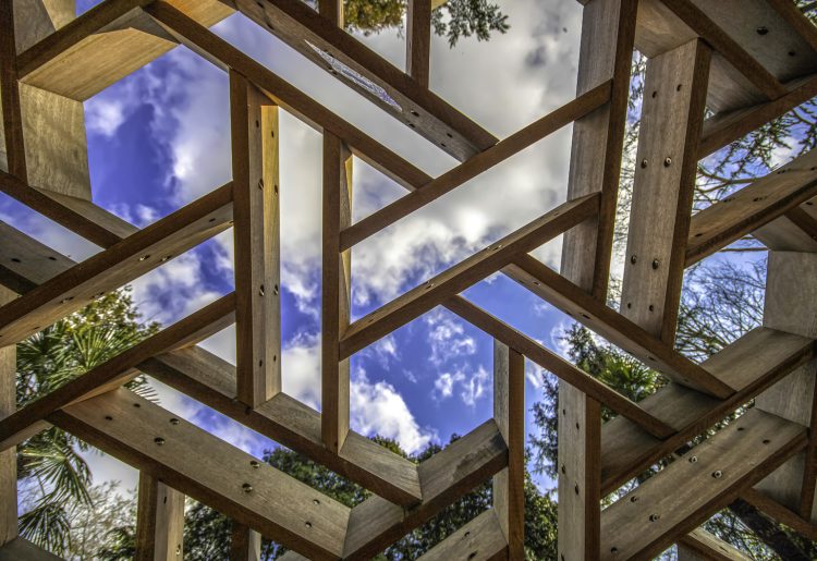 Timber innovations building a more sustainable future