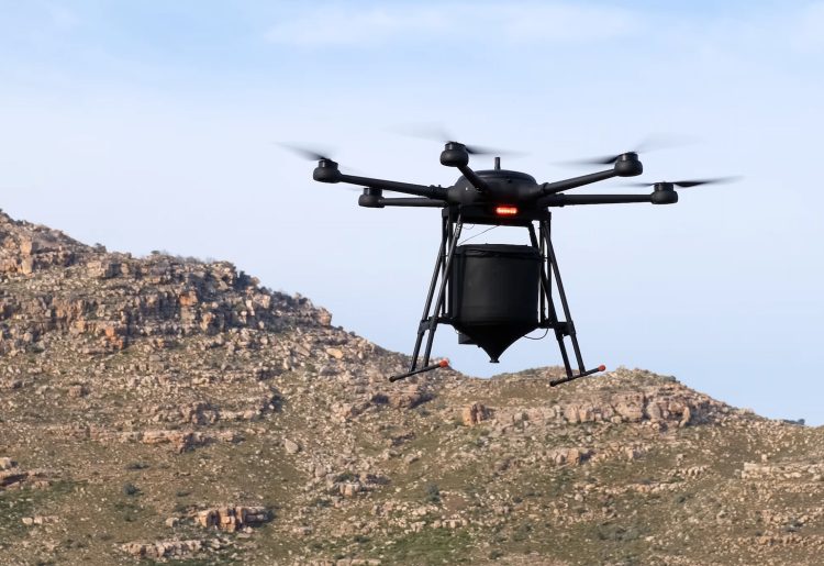 Tackling reforestation with drones and AI