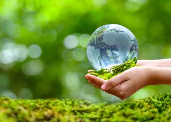 COP27: World leaders reiterate need for immediate action, Engineers Australia was there.