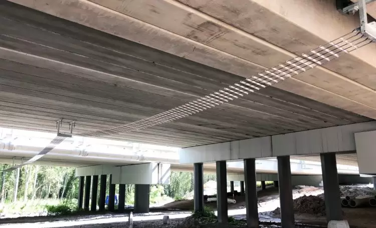 The rise of wildlife bridges and crossings