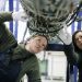 Closing the gender gap: Mapping the proportion of female engineering graduates across the globe