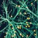 Opinion: engineers must rise to AI challenge